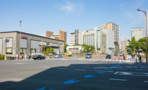 車險(xiǎn)調(diào)查-隱藏酒駕讓孿生弟弟頂包